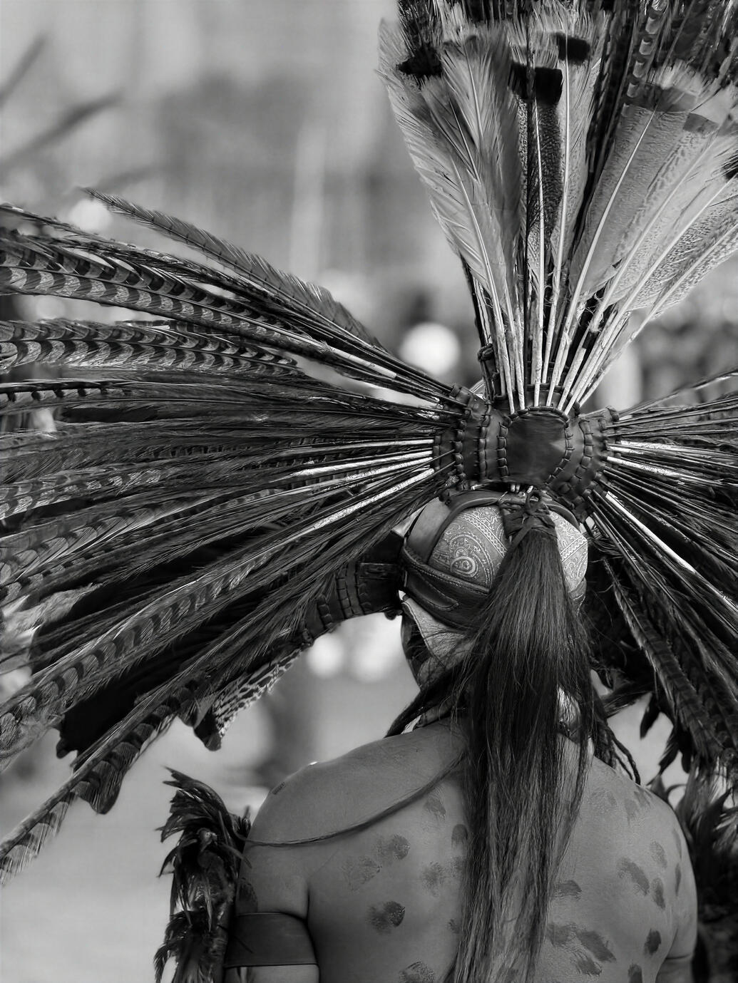 A striking black and white portrait of a traditional dancer in ceremonial attire at Plaza de la Constitución in Mexico City. The elaborate feathered headdress, intricate textures and flowing hair create a powerful connection to Mexico’s ancient cultural he